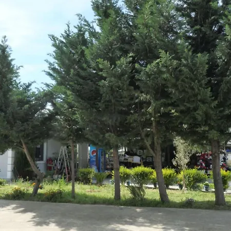 Skendo Delvine
