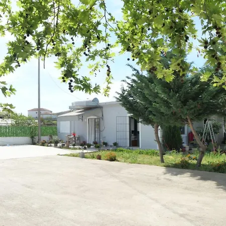 Apartament Skendo Delvine